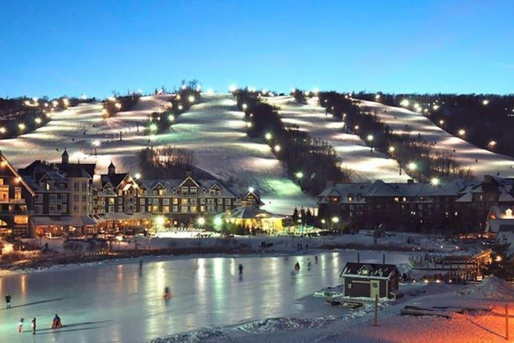 Blue Mountain Suites Блу Маунтинс Екстериор снимка